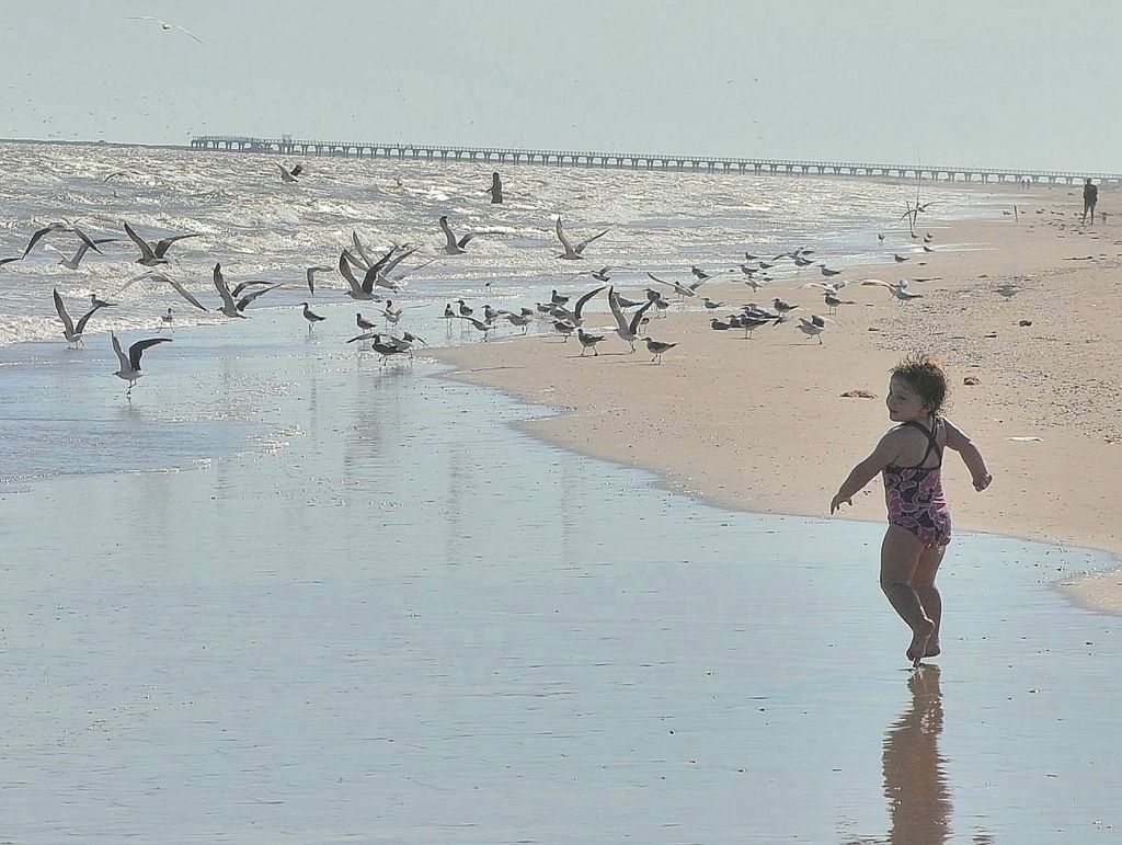 Beach Holiday Sept 2012 089