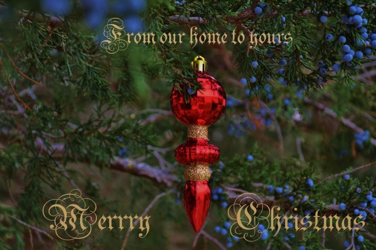 Red Gold & Green My digital card