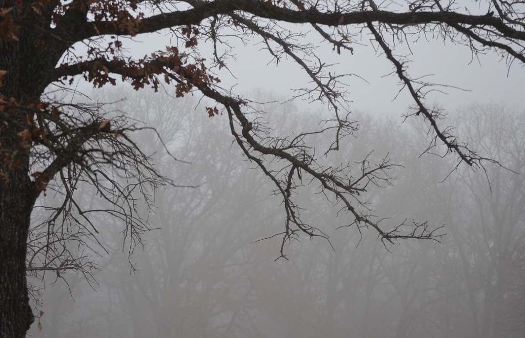 December in Texas 2014 (2)