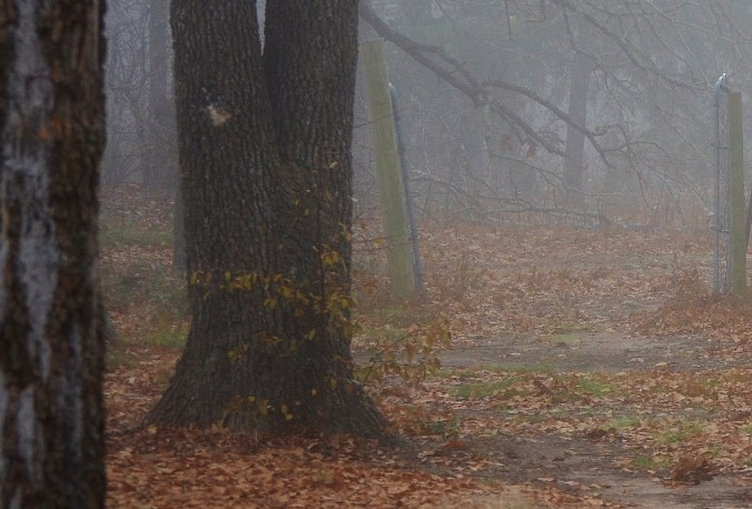 December in Texas 2014 (3)