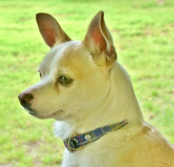 Weather casts a green hue (1280x1229)