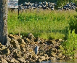 Signs Do Not Always Apply