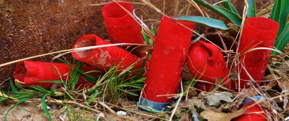 shotgun shells (1024x430)