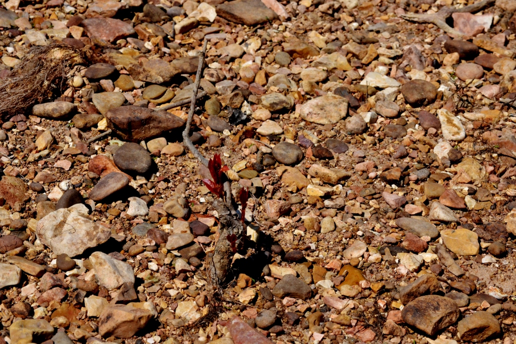 Waiting 2 B Written... (1024x683)