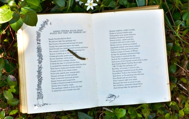 Shel Silverstein Where the Sidewalk Ends