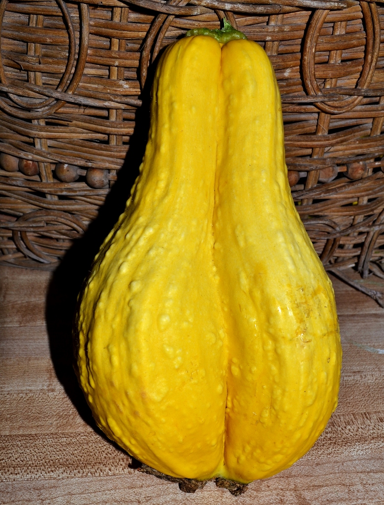 Grow a Pair (780x1024)