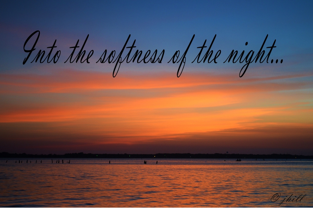Into the softness of the night (1024x683)