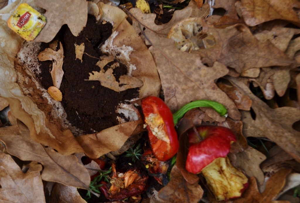 compost (1024x694)