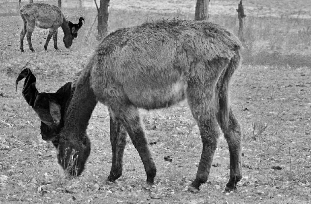 Misery loves company