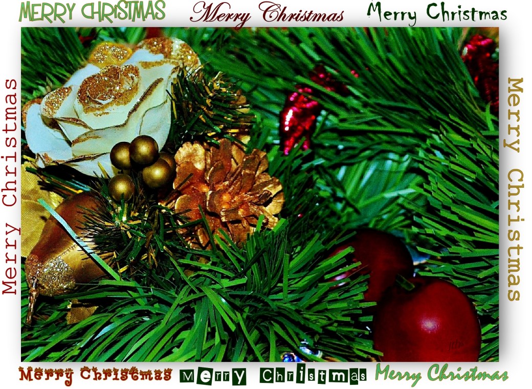 Red Gold n Green Christmas Card