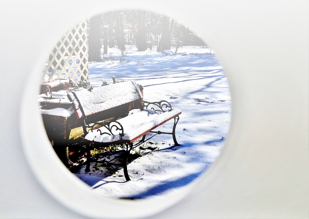 Texas gets cold (1024x728)