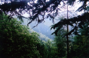 Jakko Hill by Michael Gomes May 2006