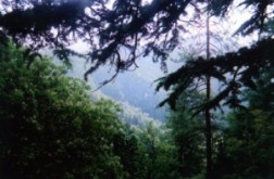 Jakko Hill by Michael Gomes May 2006